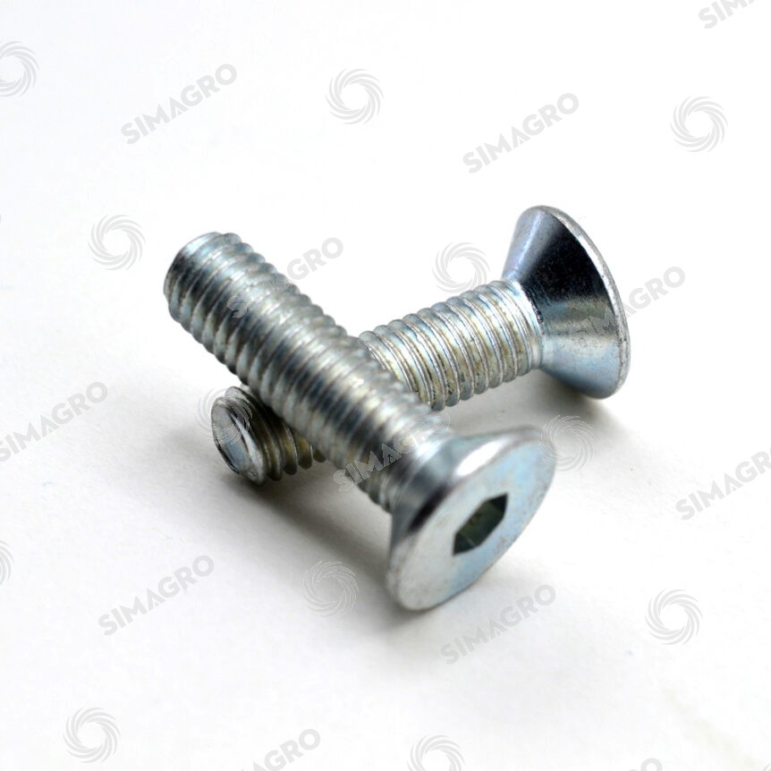 Hamerkopbout M10 x 30 mm voor 41 mm profiel set van 4 stuks Hamerkopbout M10 x 30 mm voor 41 mm profiel set van 4 stuks